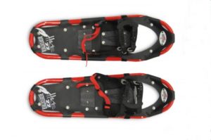 Demo Snowshoe Redfeather - Variety-image